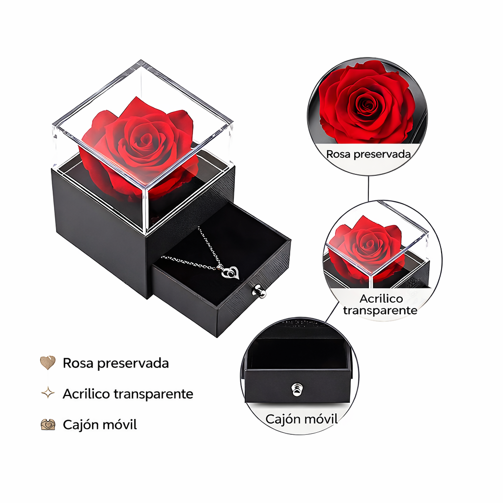 Rosa Eterna En Joyero y Collar TE AMO